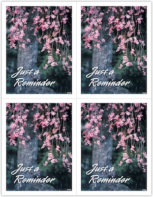 Generic Postcards; for Laser Printer; Flowering Tree Reminder, 100/Pk