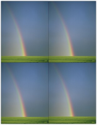 Medical Arts Press® Postcards; for Laser Printer; Rainbow, 100/Pk