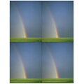 Medical Arts Press® Postcards; for Laser Printer; Rainbow, 100/Pk