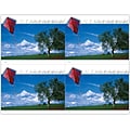 Generic Postcards; for Laser Printer; Summer Kite, 100/Pk