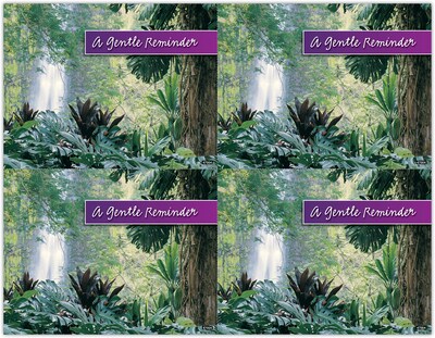 Generic Postcards; for Laser Printer; Jungle Waterfall, Gentle Reminder, 100/Pk