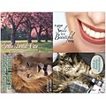 Dental Assorted Postcards; for Laser Printer; Preventative Care, 100/Pk