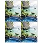 Scenic Postcards; for Laser Printer; Scenic Ocean Hut, 100/Pk