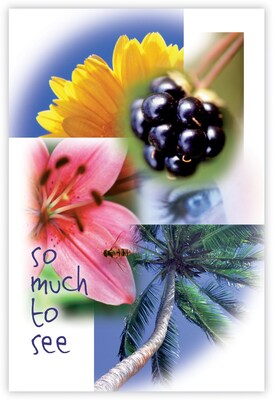 Scenic Postcards; for Laser Printer; So Much To See, 100/Pk
