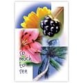 Scenic Postcards; for Laser Printer; So Much To See, 100/Pk