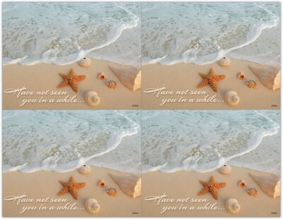 Scenic Postcards; for Laser Printer; Beach Shells, 100/Pk