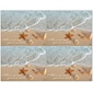 Scenic Postcards; for Laser Printer; Beach Shells, 100/Pk