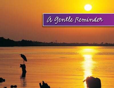 Generic Postcards; for Laser Printer; Sunset/Lake Reminder, 100/Pk