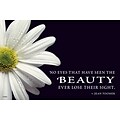 Scenic Laser Postcards; Have Seen the Beauty, 100/Pk