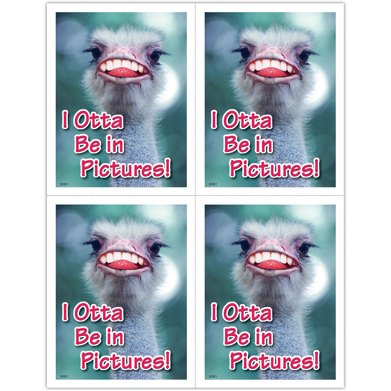 Humorous Postcards; for Laser Printer; Otta be in Pictures, 100/Pk