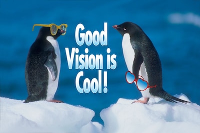 Humorous Postcards; for Laser Printer; Good Vision is Cool, 100/Pk