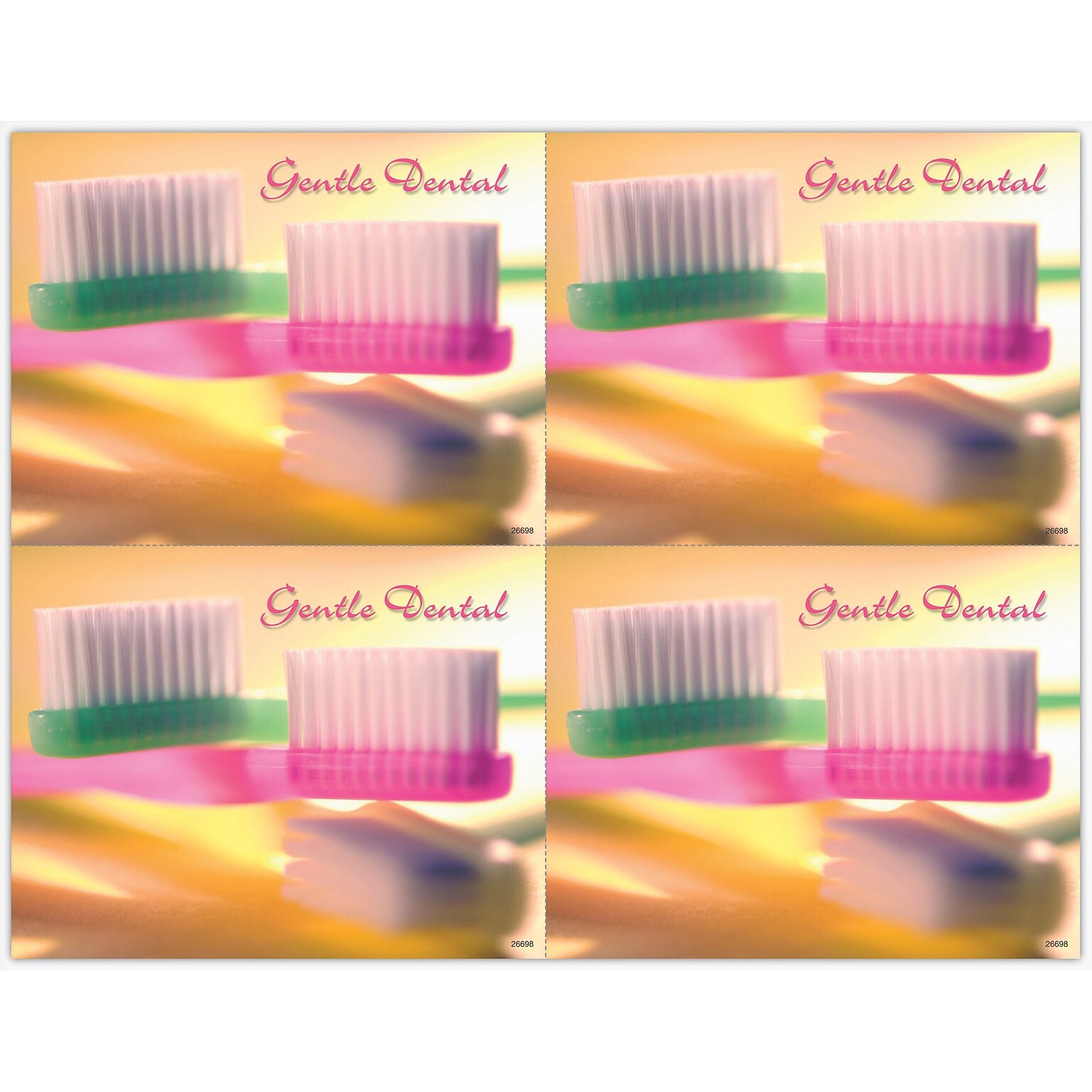 Graphic Image Postcards; for Laser Printer; Gentle Reminder, Two Brushes, 100/Pk