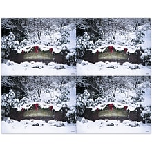 Photo Image Postcards; for Laser Printer; Snow, 100/Pk