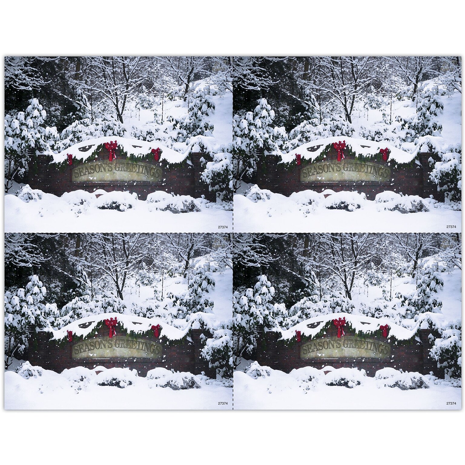 Photo Image Postcards; for Laser Printer; Snow, 100/Pk