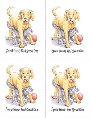 Preventive Postcards; for Laser Printer; Special Friend, 100/Pk