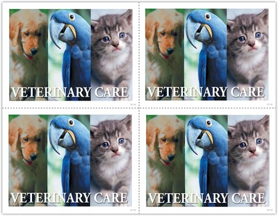 Photo Image Postcards; for Laser Printer; Veterinary Care, 100/Pk