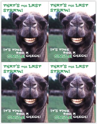 Humorous Postcards; for Laser Printer; Smile Llama, 100/Pk