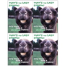 Humorous Postcards; for Laser Printer; Smile Llama, 100/Pk