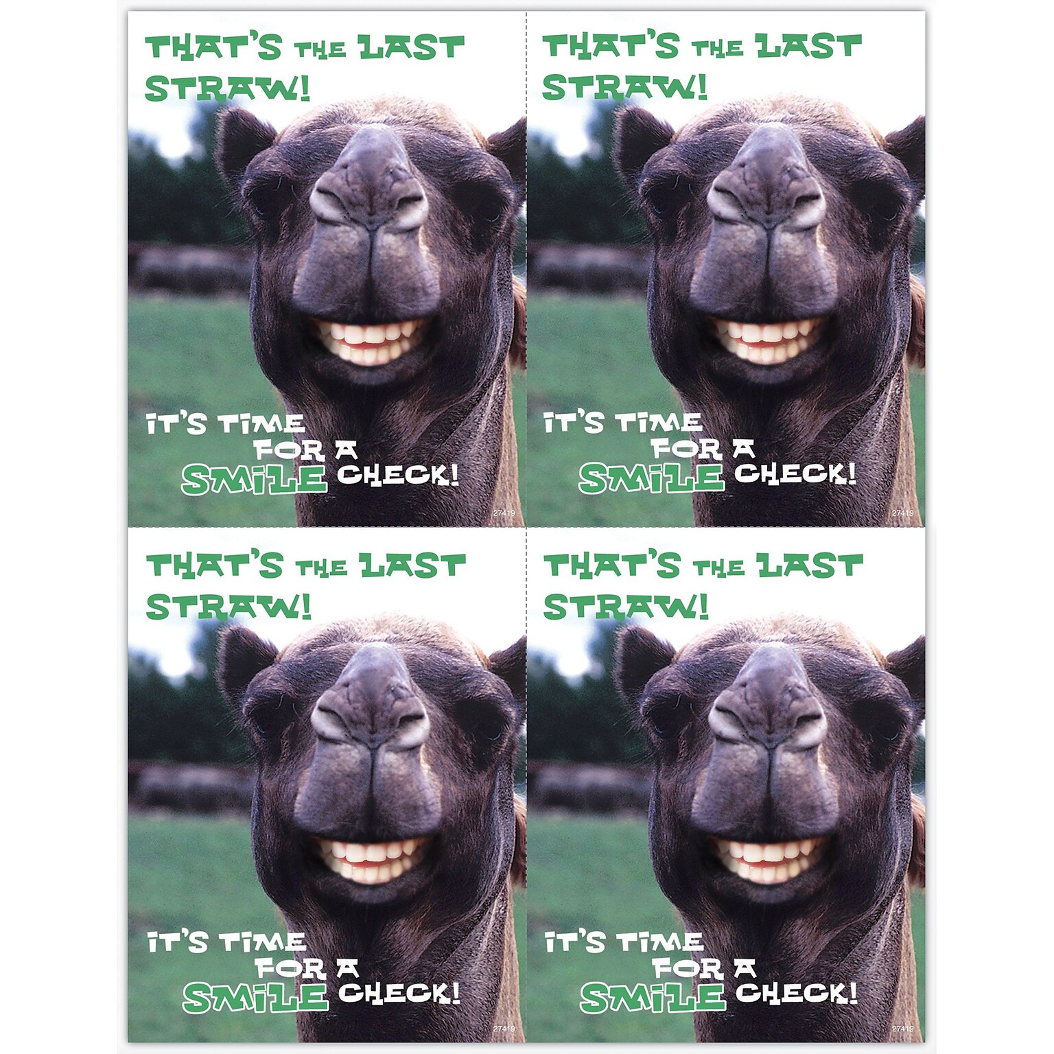 Humorous Postcards; for Laser Printer; Smile Llama, 100/Pk