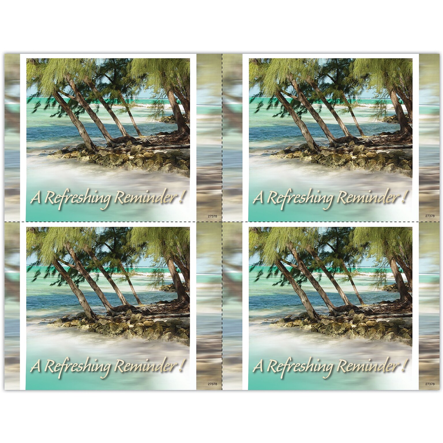 Photo Image Postcards; for Laser Printer; Holiday Series, Palm Trees, 100/Pk