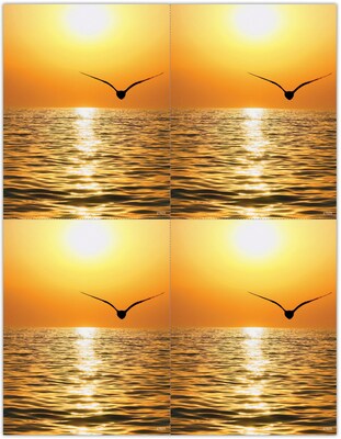 Scenic Postcards; for Laser Printer; Scenic Seagull Sunset, 100/Pk