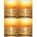 Scenic Postcards; for Laser Printer; Scenic Seagull Sunset, 100/Pk