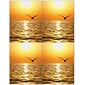 Scenic Postcards; for Laser Printer; Scenic Seagull Sunset, 100/Pk