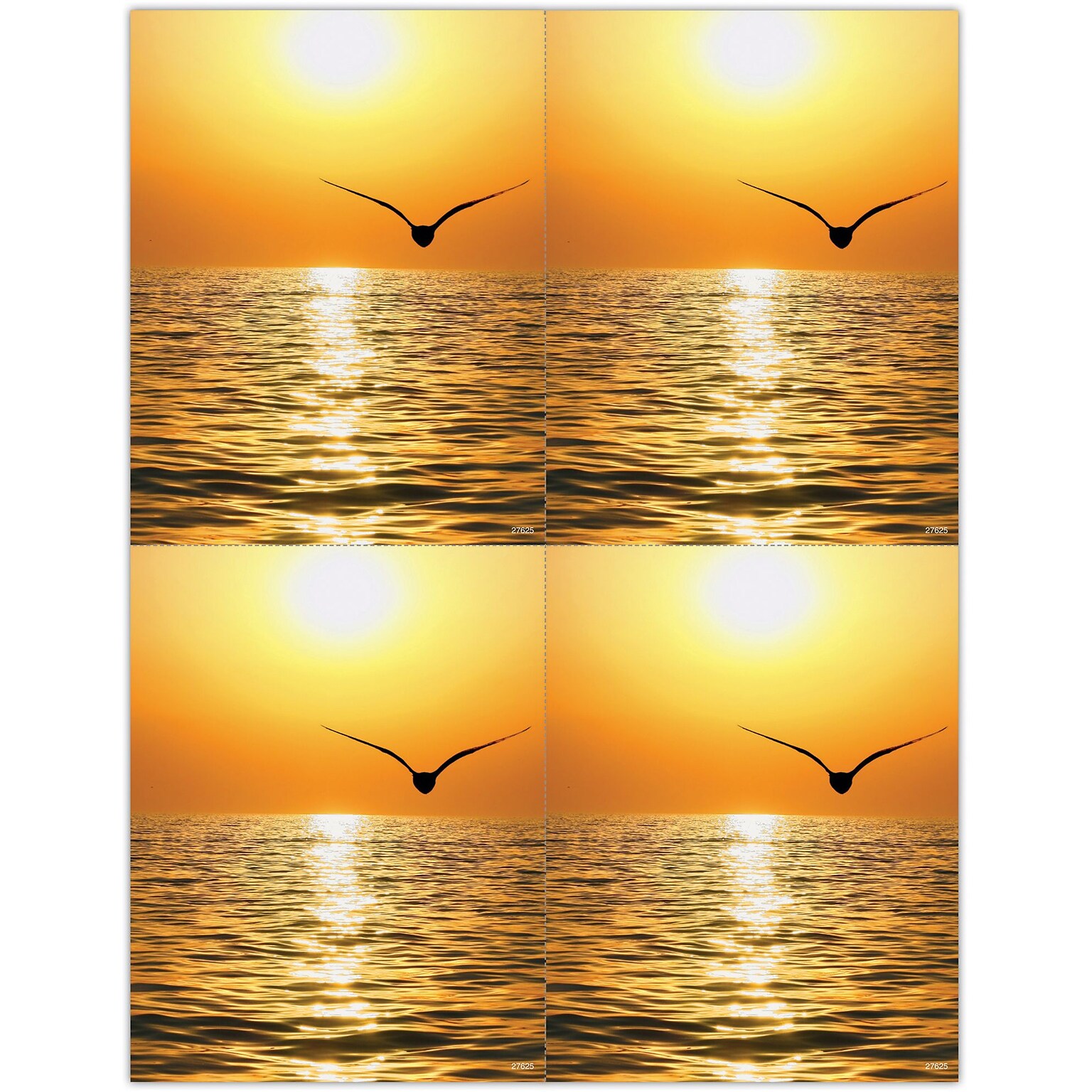 Scenic Postcards; for Laser Printer; Scenic Seagull Sunset, 100/Pk