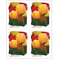 Generic Postcards; for Laser Printer; Tulips, 100/Pk