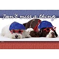 Humorous Postcards; for Laser Printer; Dont Miss A Thing, 100/Pk