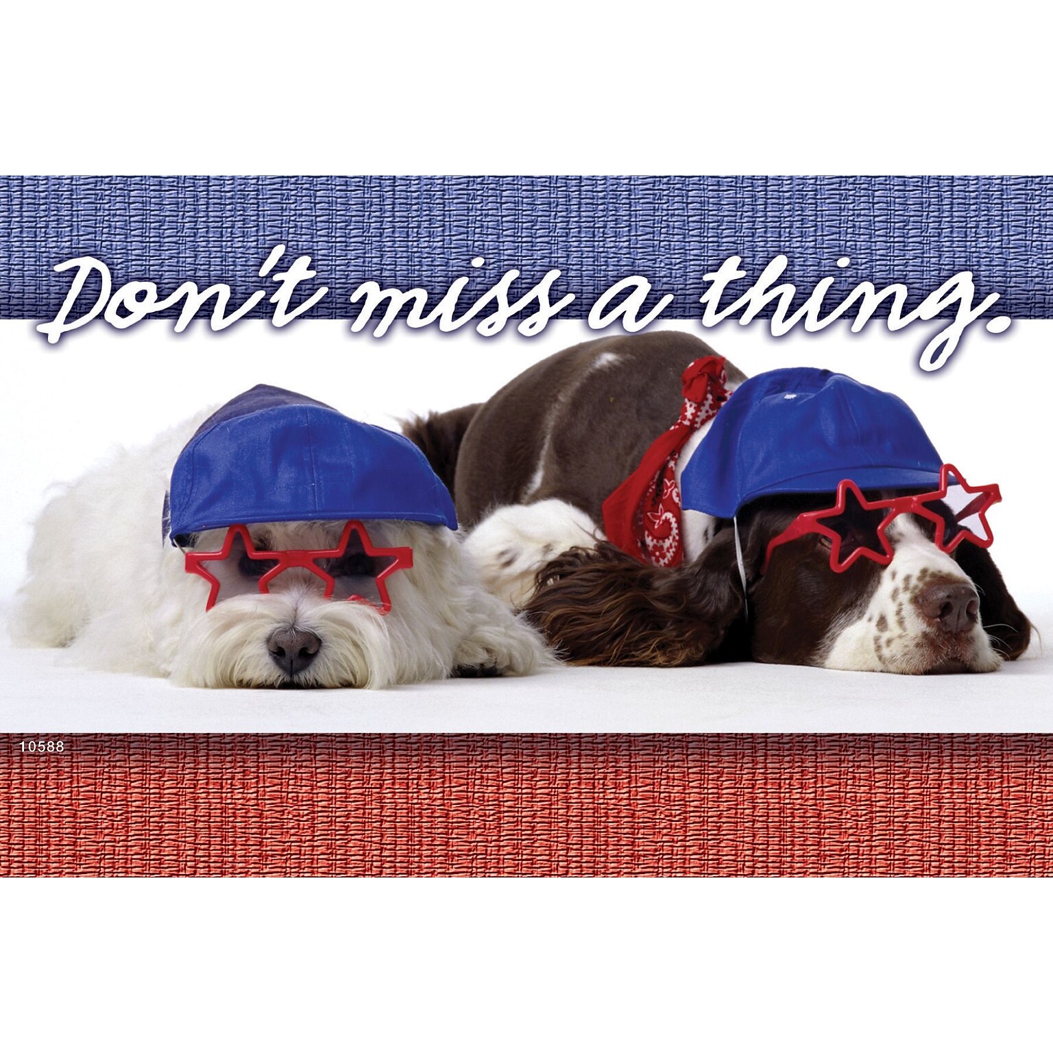 Humorous Postcards; for Laser Printer; Dont Miss A Thing, 100/Pk