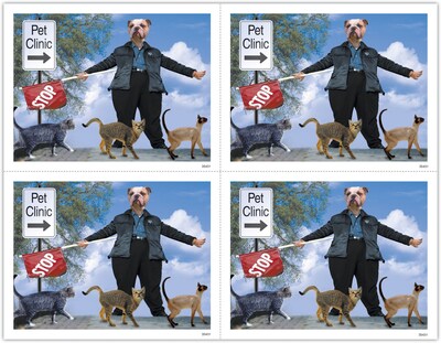 Humorous Postcards; for Laser Printer; Crossing Guard, 100/Pk