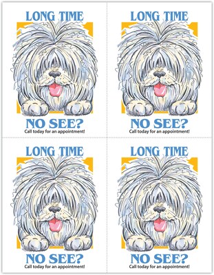 Humorous Laser Postcards, Shaggy Dog, 100/Pk