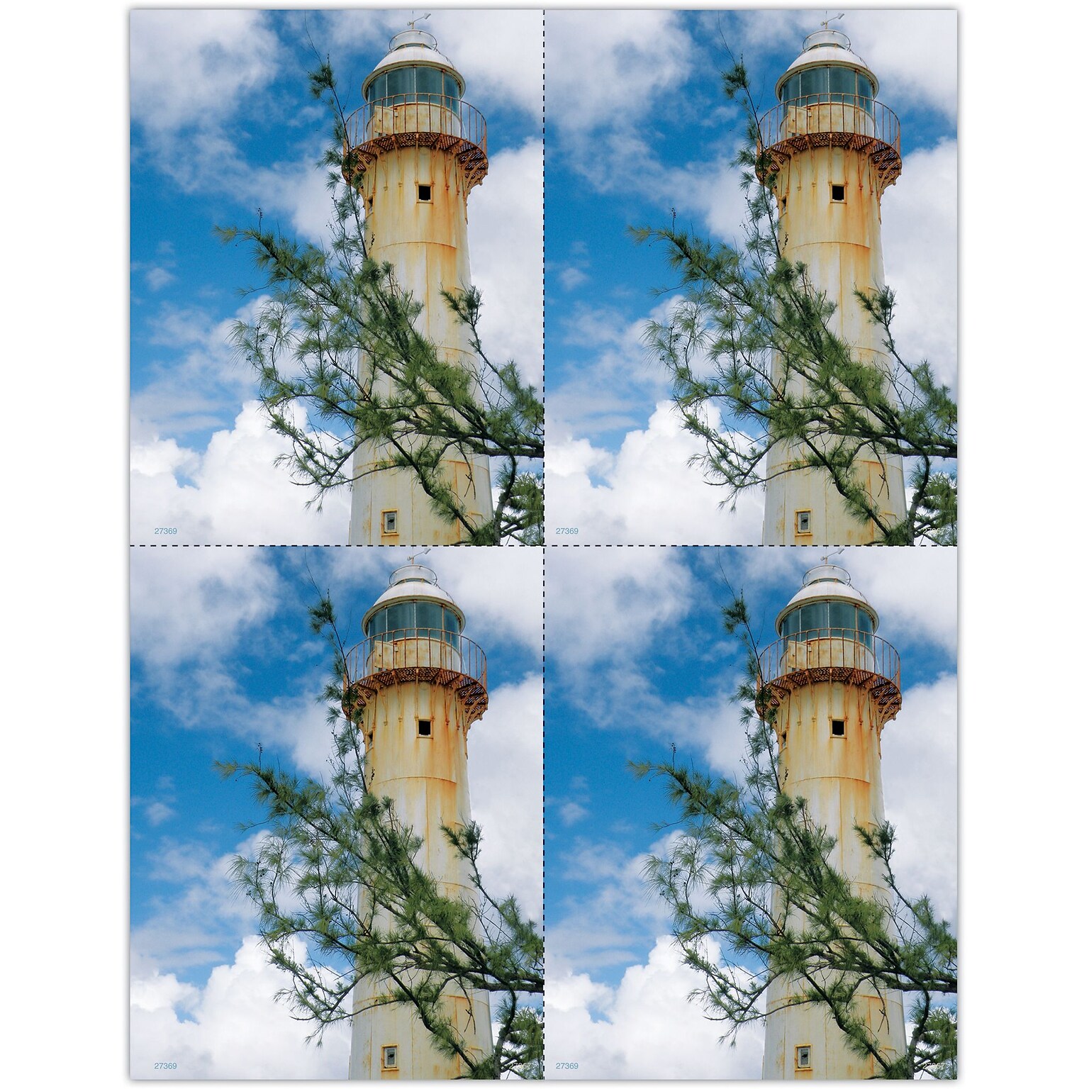 Photo Image Postcards; for Laser Printer; Lighthouse Branch, 100/Pk