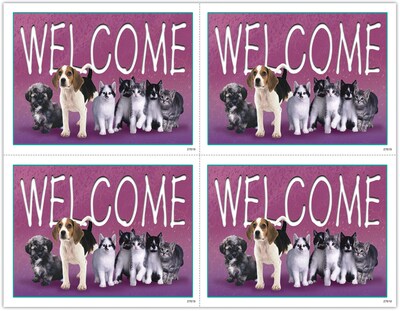 Medical Arts Press® Veterinary Postcards; for Laser Printer; Welcome, Pets in a Line, 100/Pk