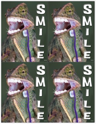 Graphic Image Postcards; for Laser Printer; Lizard, 100/Pk
