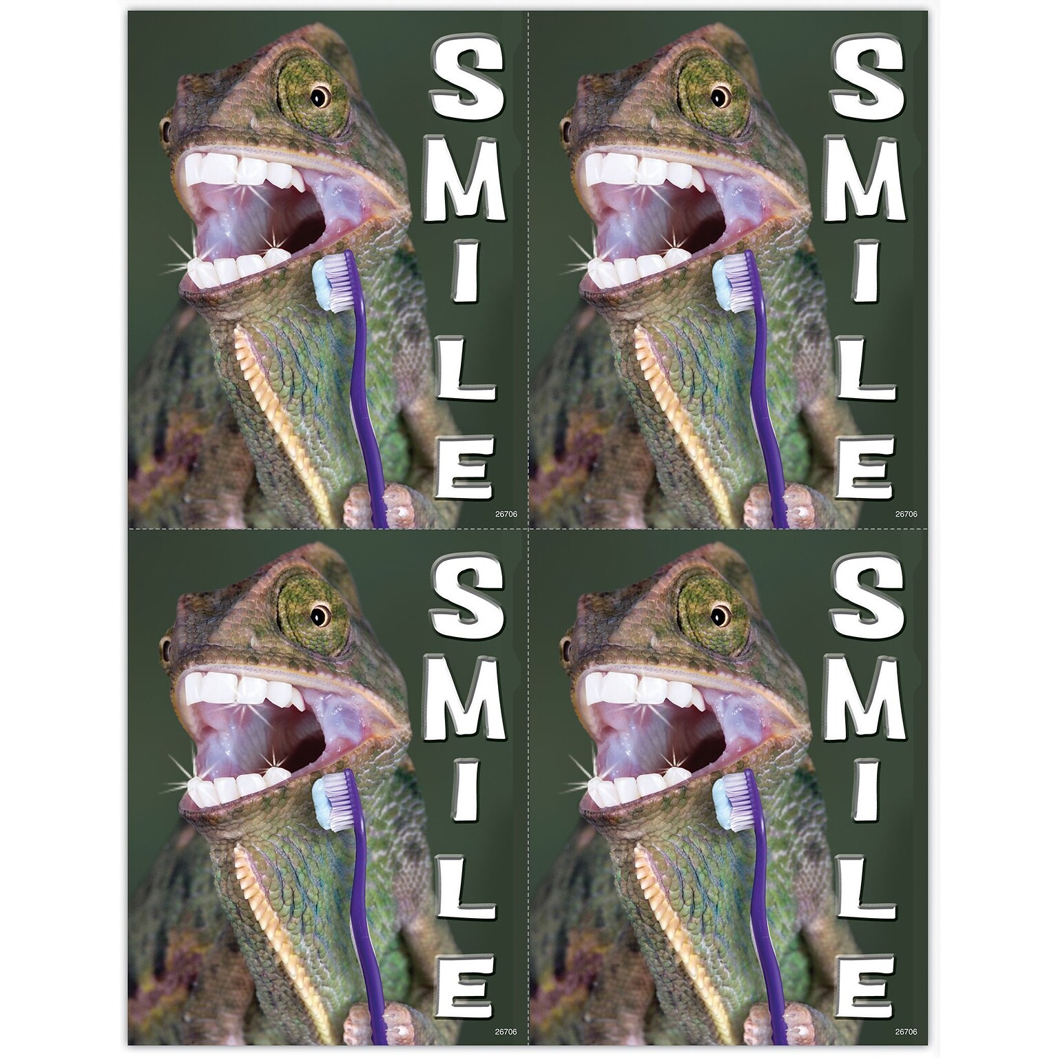 Graphic Image Postcards; for Laser Printer; Lizard, 100/Pk