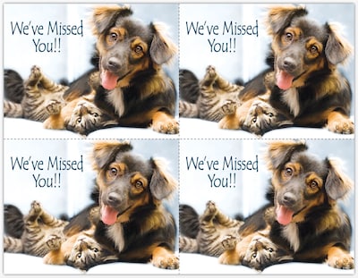 Photo Image Postcards; for Laser Printer; Cat, Dog Miss You, 100/Pk