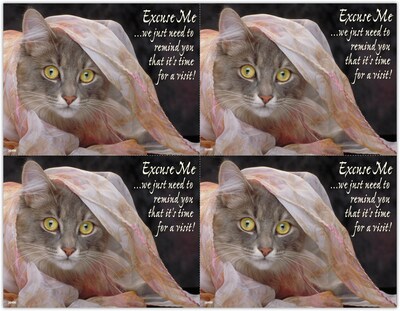 Humorous Postcards; for Laser Printer; Excuse Me, 100/Pk