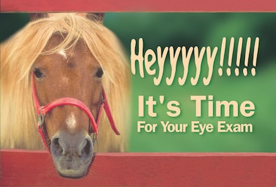 Humorous Postcards; for Laser Printer; Heyyyyy, Pony, 100/Pk