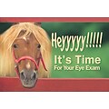 Humorous Postcards; for Laser Printer; Heyyyyy, Pony, 100/Pk