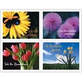 Generic Assorted Postcards; for Laser Printer; Flower Groups, Spanish, 100/Pk