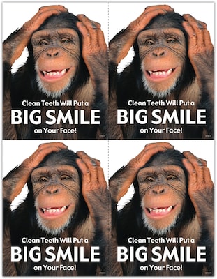 Humorous Postcards; for Laser Printer; Big Smile, 100/Pk
