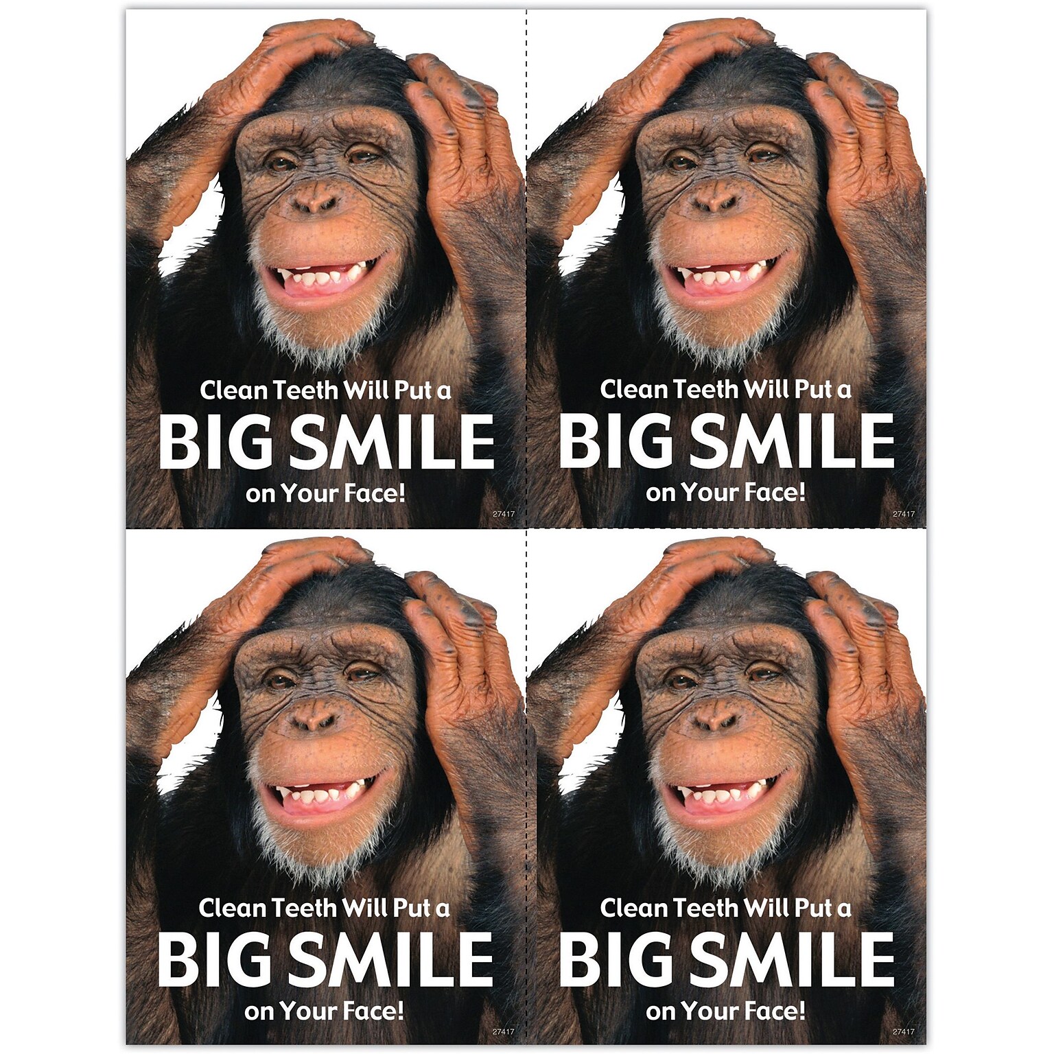 Humorous Postcards; for Laser Printer; Big Smile, 100/Pk