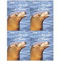 Humorous Postcards; for Laser Printer; Seal, 100/Pk