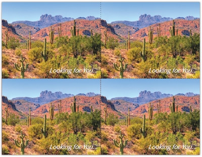 Scenic Postcards; for Laser Printer; Scenic Desert, 100/Pk