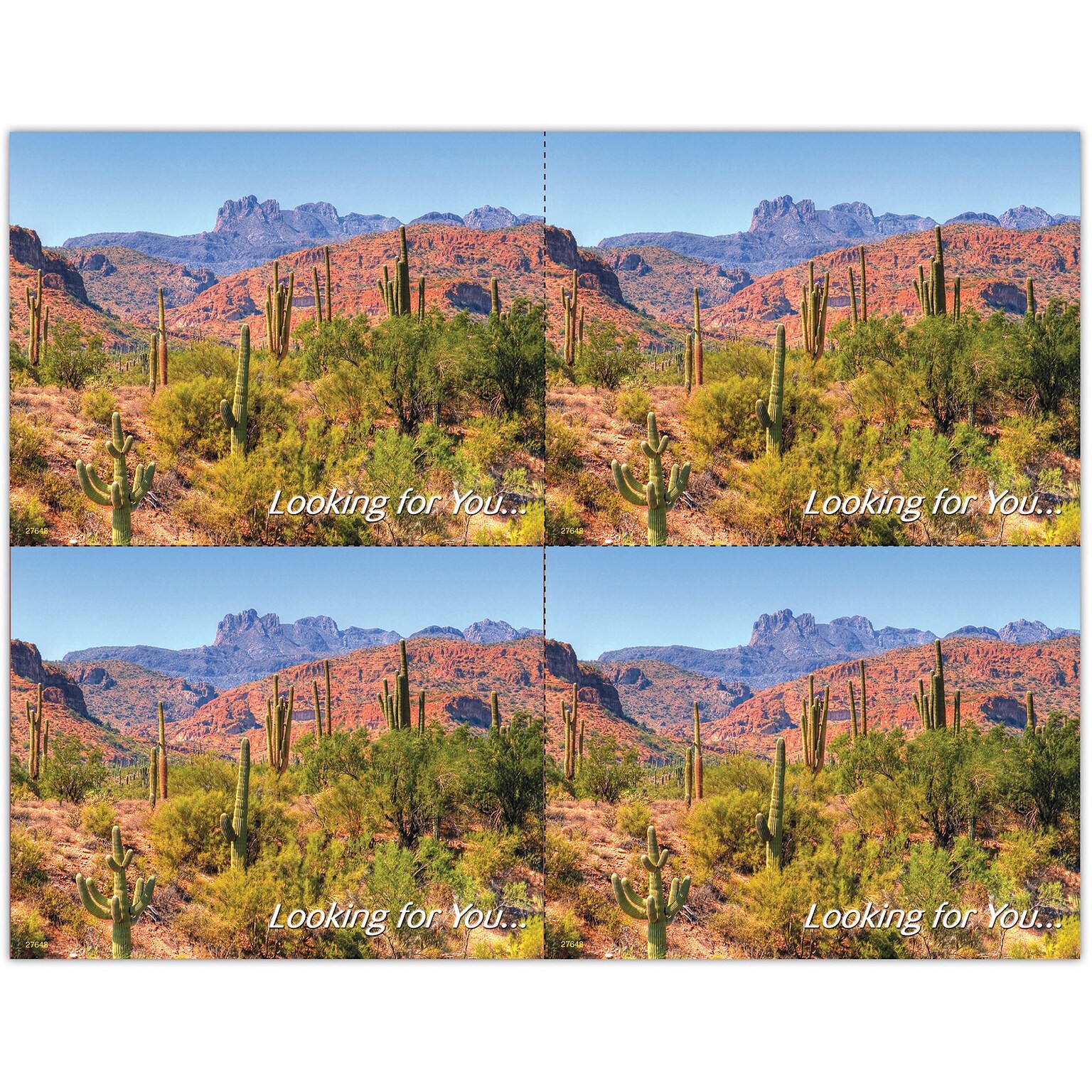 Scenic Postcards; for Laser Printer; Scenic Desert, 100/Pk