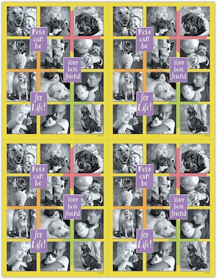 Photo Image Laser Postcards; Pet Photos, 100/Pk