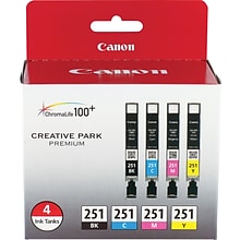 Canon 251 Black/Cyan/Magenta/Yellow Ink Cartridge, 4/Pack   (6513B004)