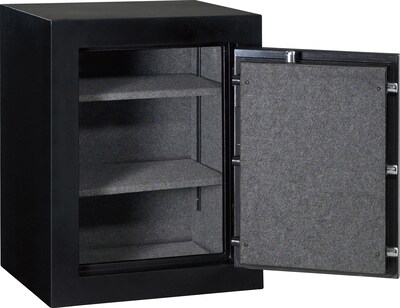 SentrySafe Executive Fire Safe with Electronic Lock, 3.4 Cu. Ft. (EF3428EENG)